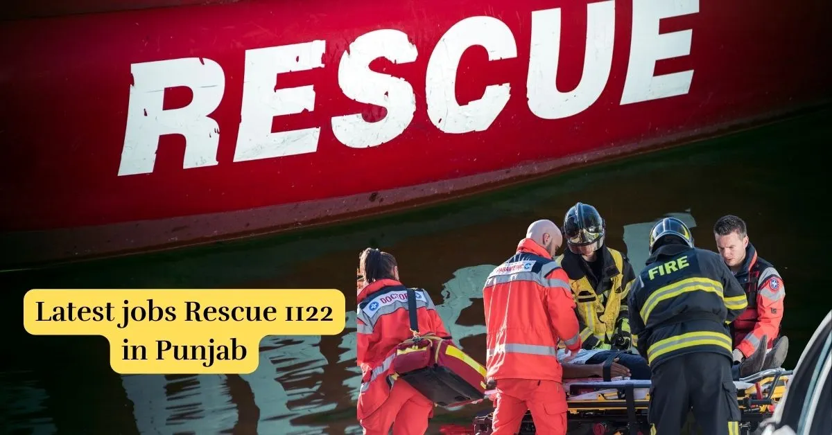 best jobs for rescue in punjab